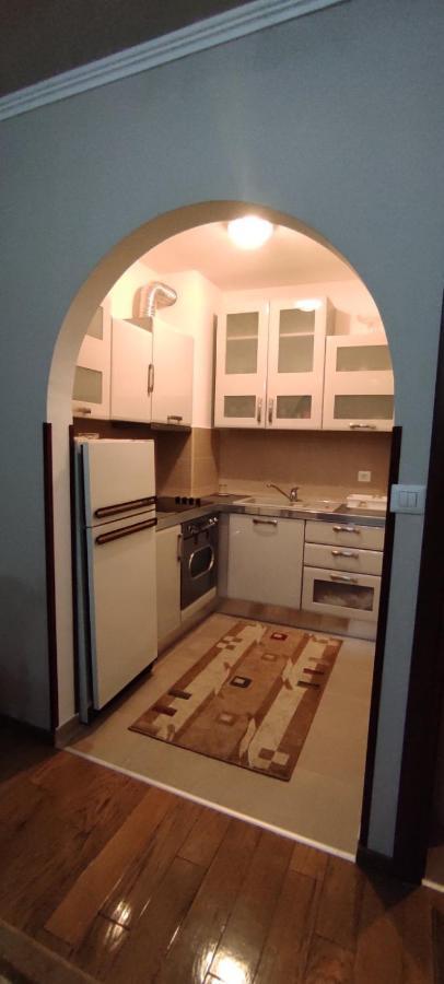 Apartman Tanya Appartamento Podgorica Esterno foto